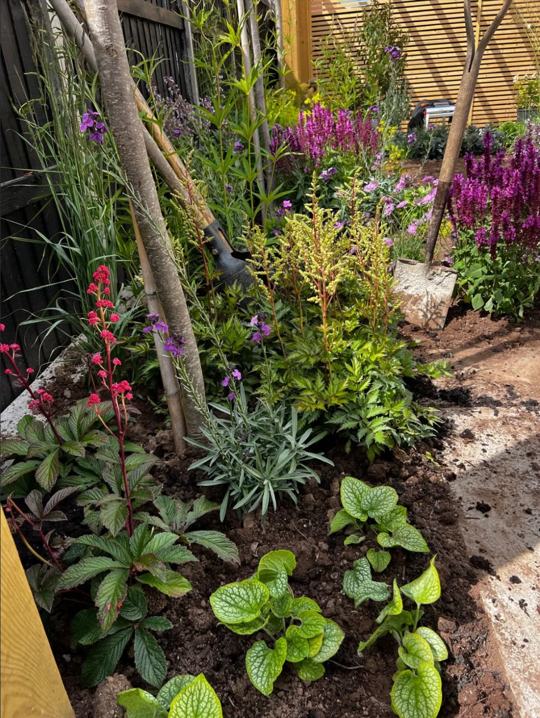 Garden designed by Pebble featuring naturalistic planting and seating