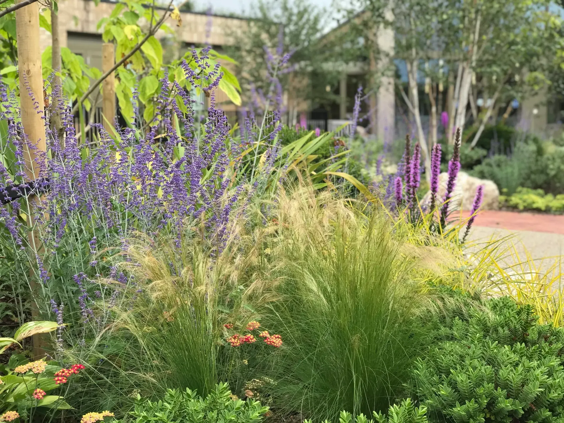 Accessible hospice garden path with sensory planting at Noah’s Ark Children’s Hospice