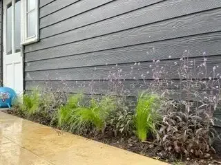 Neatly edged lawn and low-maintenance planting providing year-round interest in Chelmsford garden