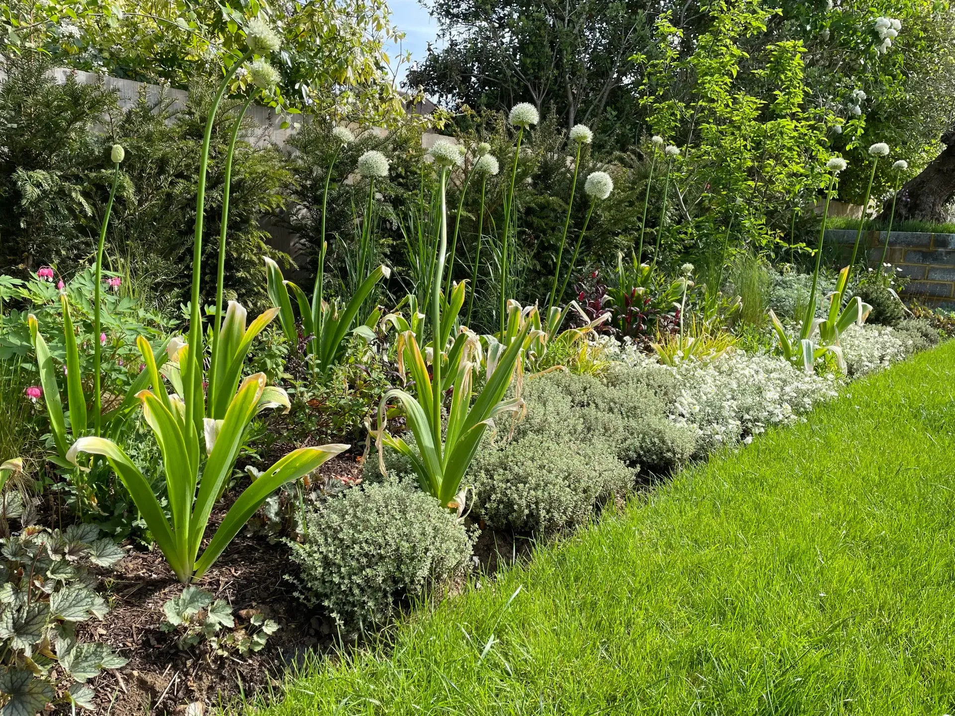 Haven outdoor structure with garden kitchen and dining area in Purley