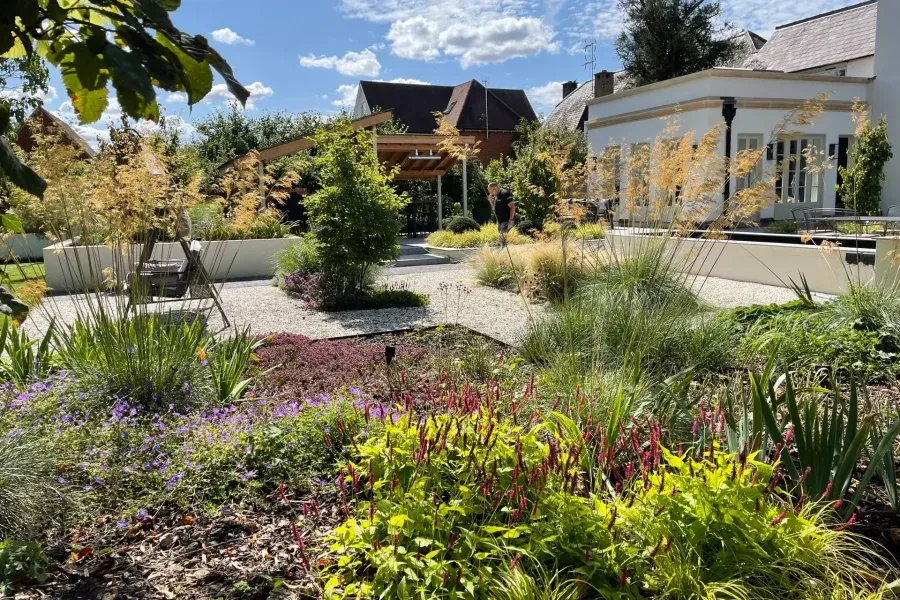 Lower lawn framed by planting and mature trees in family garden