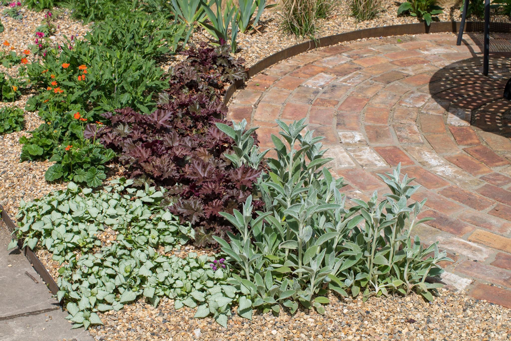 Garden Design in Stowlangtoft Suffolk - Pebble Garden Design