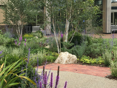 Garden Design in Chipping Barnet London - Pebble Garden Design